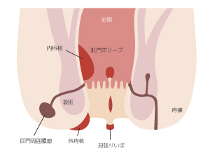 daicho01